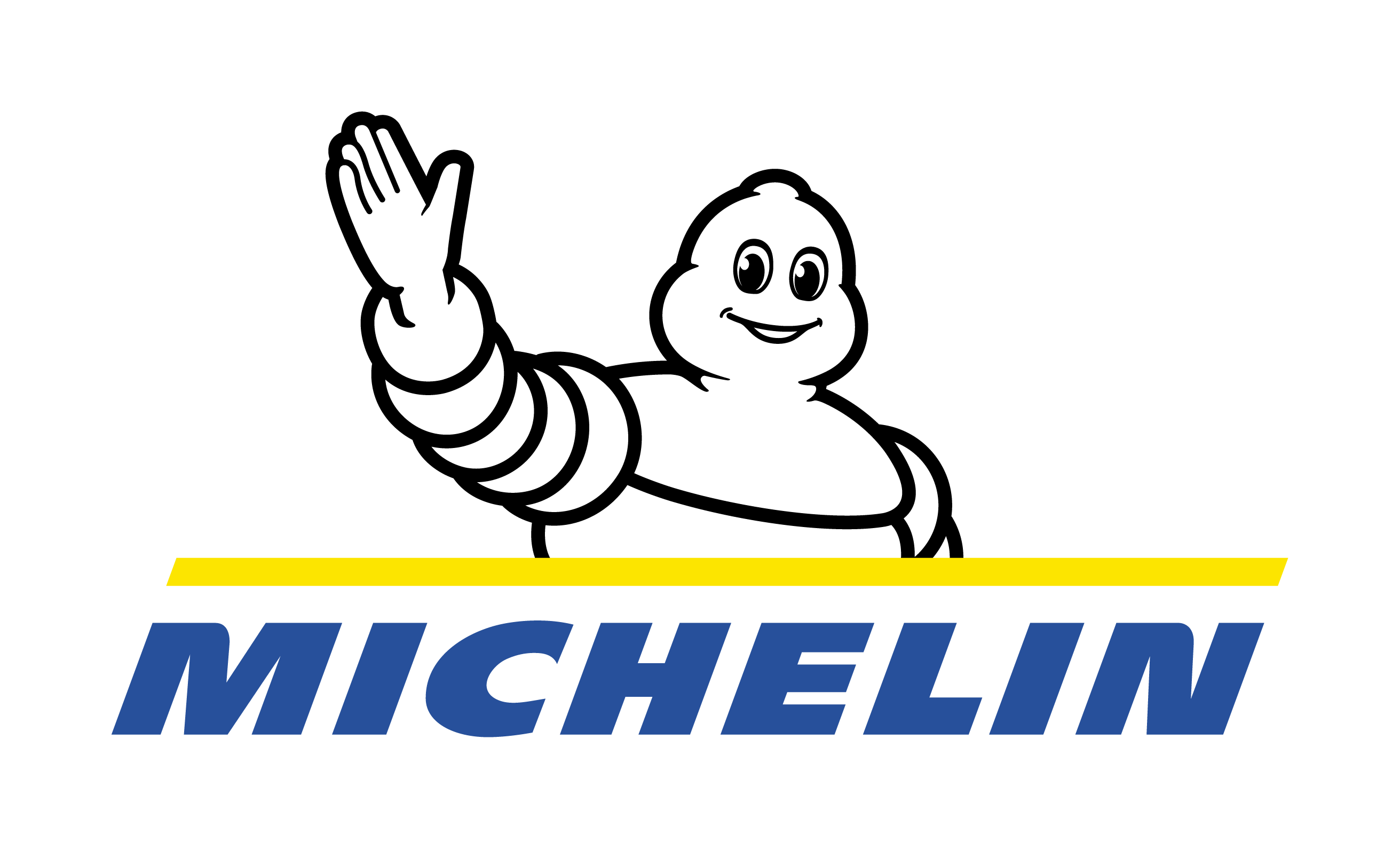 verwijderen schildpad complicaties Michelin banden
